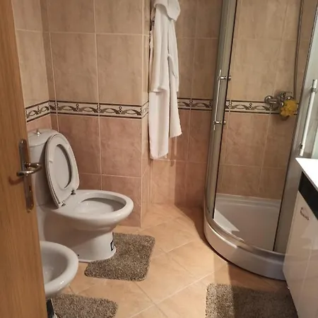 Spacious Apartment In The City Center Apartment *